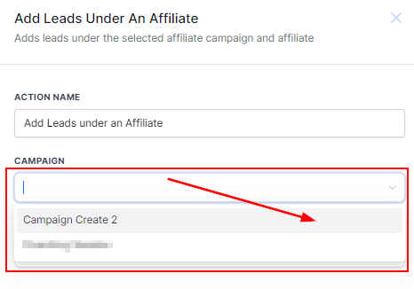 Add Leads Under an Affiliate Action – figure 2