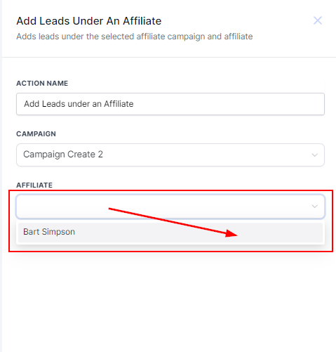 Add Leads Under an Affiliate Action – figure 3