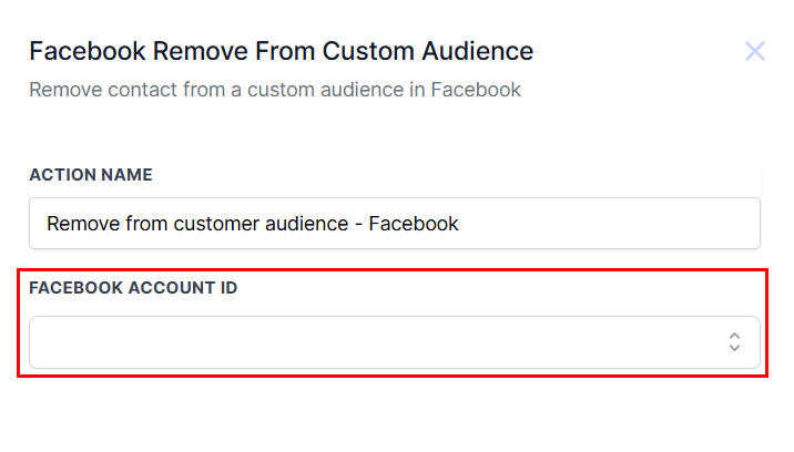Facebook - Remove From Custom Audience Action – figure 3
