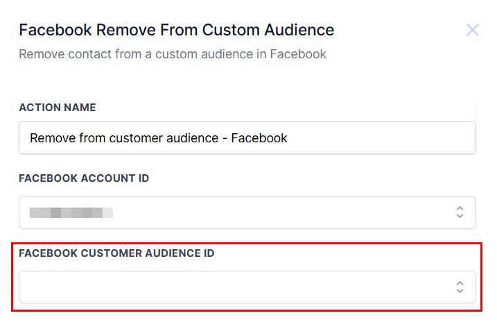 Facebook - Remove From Custom Audience Action – figure 4