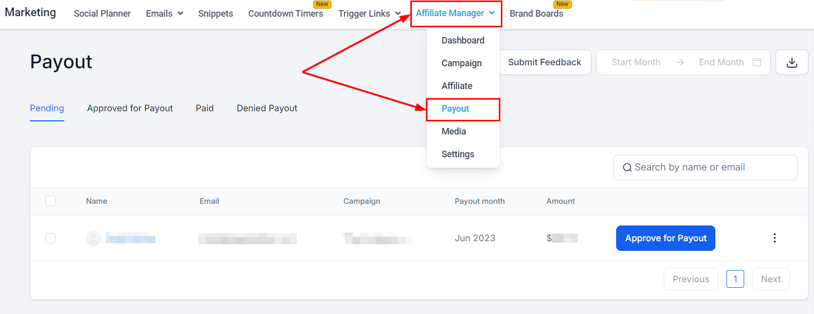 Affiliate Payouts – figure 1