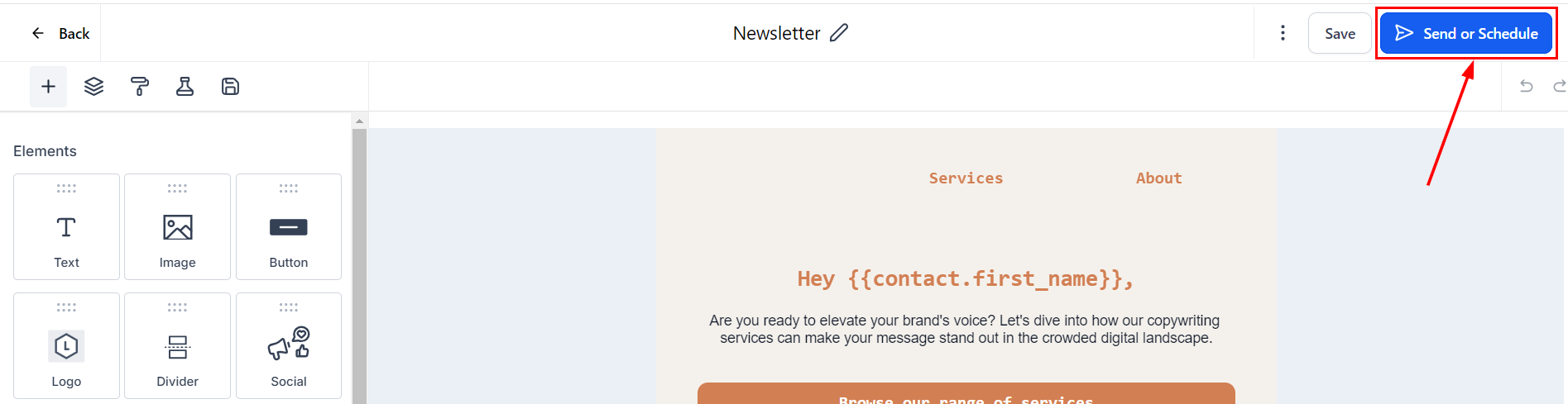 Email Campaign Delivery Options – figure 2