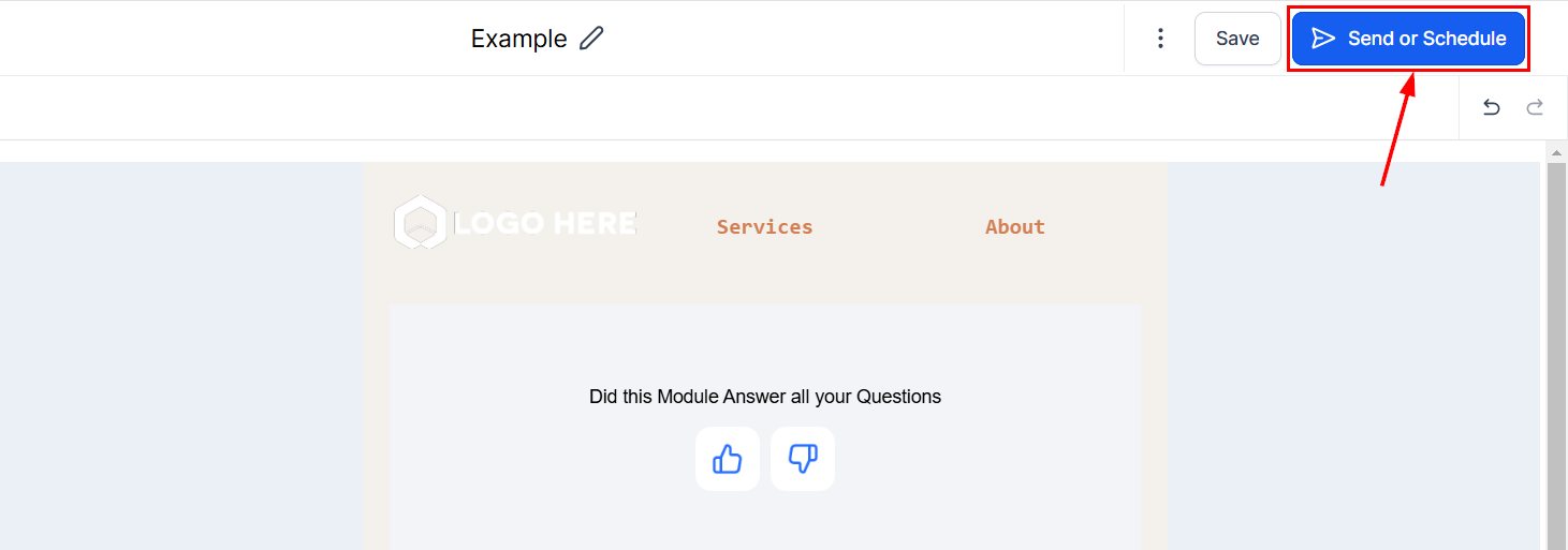 Form Element in Email Campaigns – figure 8