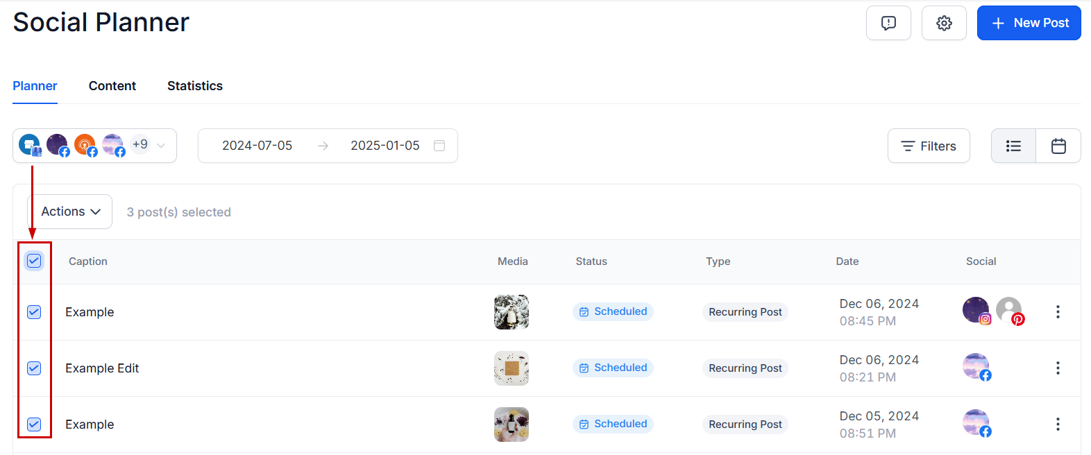 How to Bulk Delete Posts in the Social Planner – figure 2