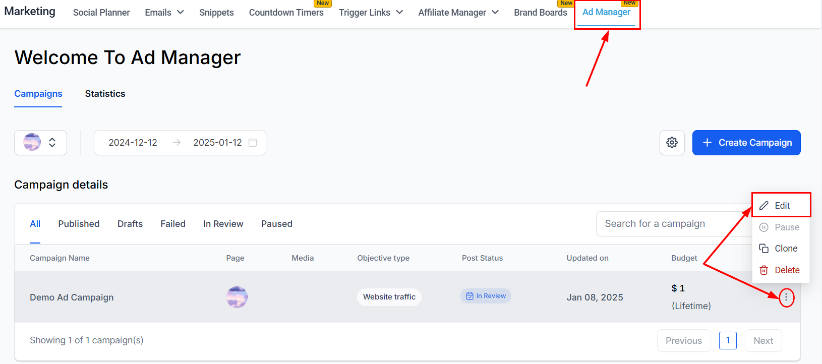 How to Edit a Published or In-Review Ad Campaign – figure 1