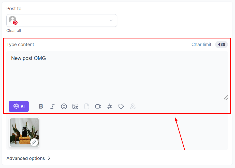 Post Pinterest Pins in Social Planner – figure 3