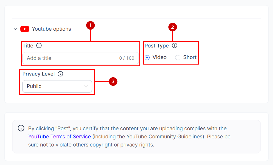 Posting to Youtube – figure 8