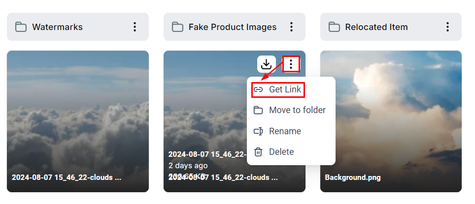 Managing Media Files and Folders – figure 3