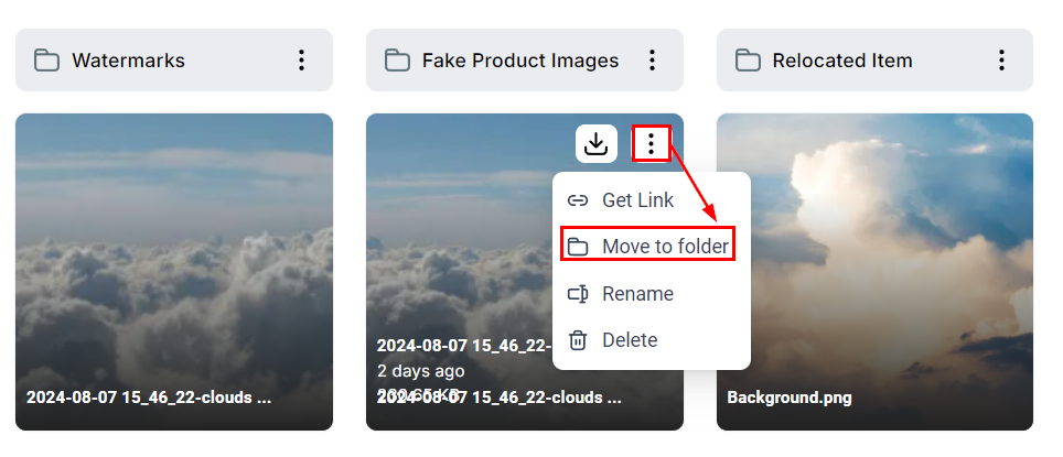 Managing Media Files and Folders – figure 4