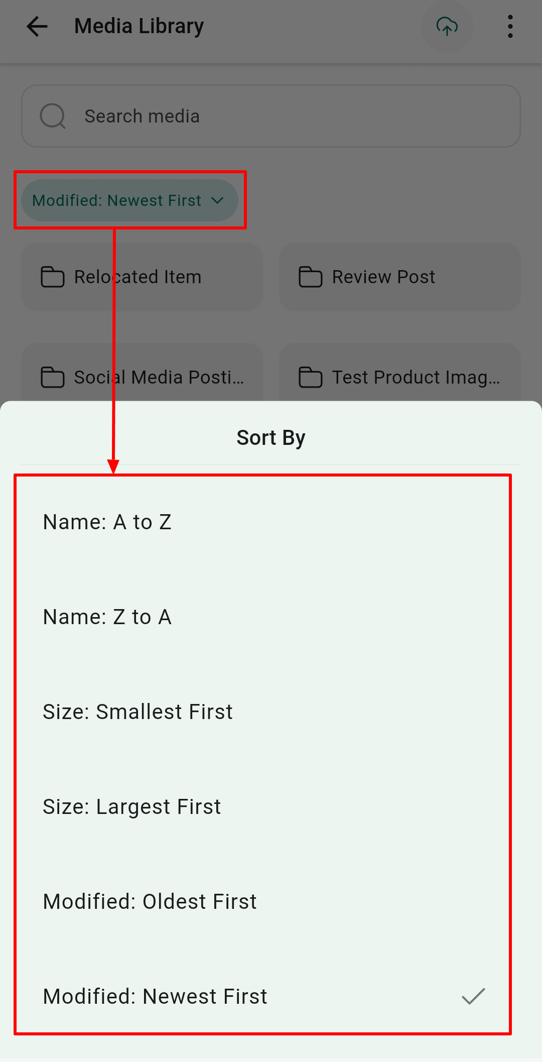 Media Library in the Mobile App – figure 5