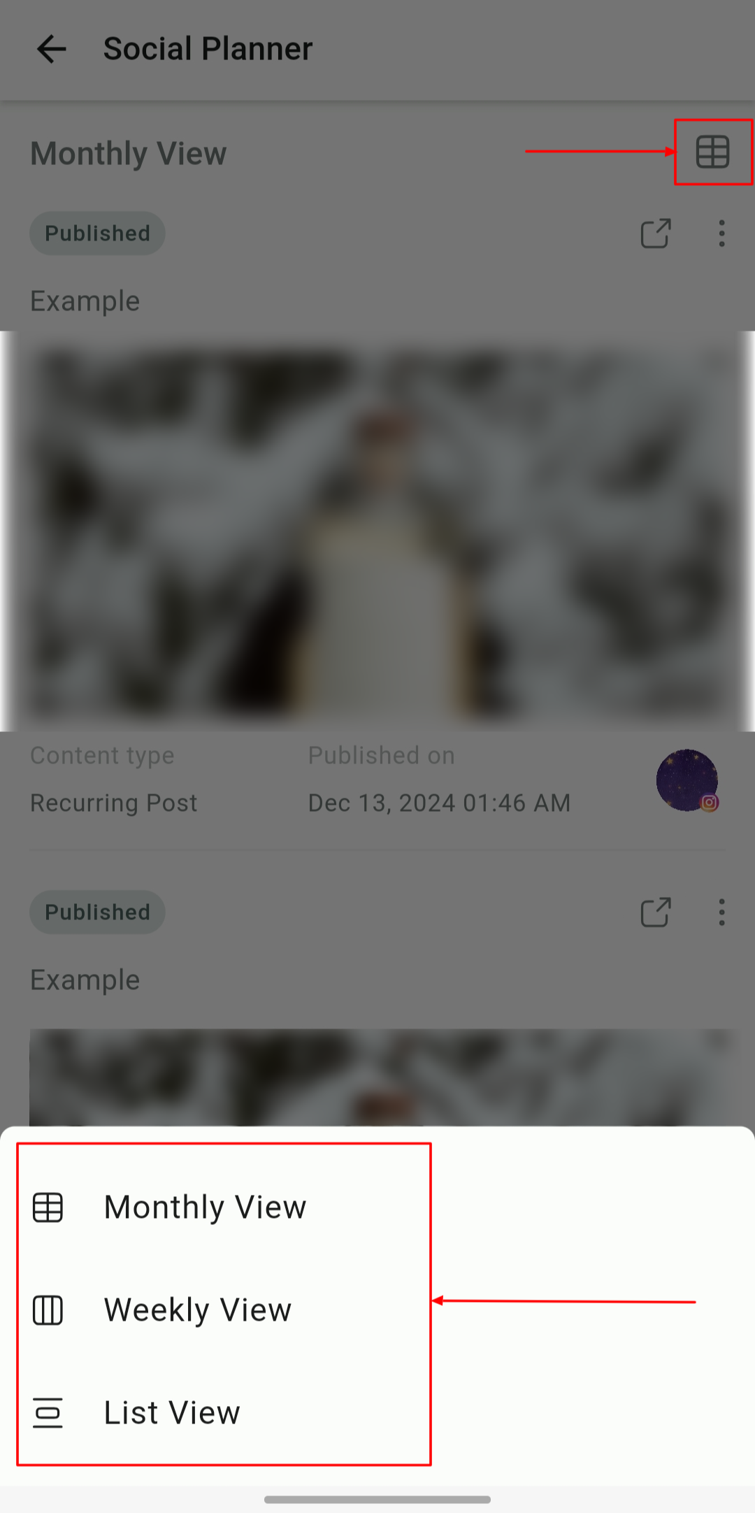 Social Planner on the Mobile App – figure 3