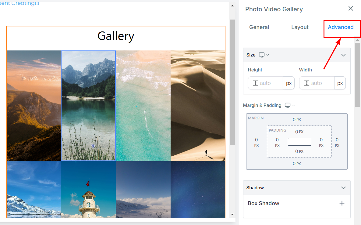 Photo Gallery – figure 11